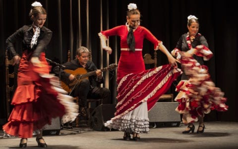 Centro de Flamenco