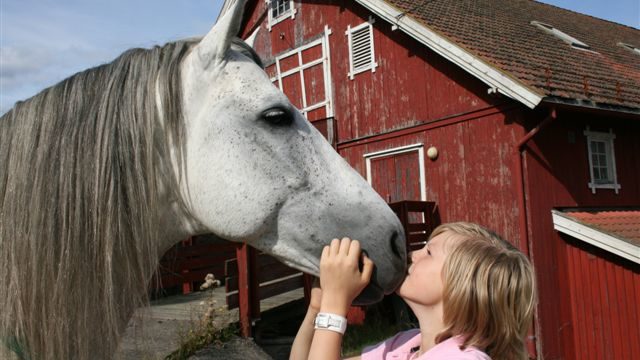 Eventbilde: Knøttedag i stallen